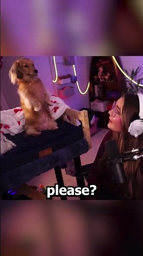 "She thinks she's better than me" 😭