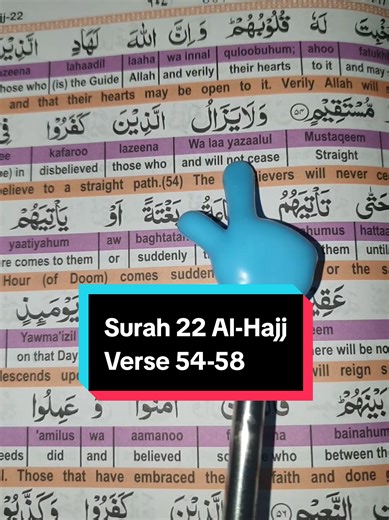 Surah 22 Al-Hajj, Verse 54-58 #القران #quran #muslim #surah #fyp