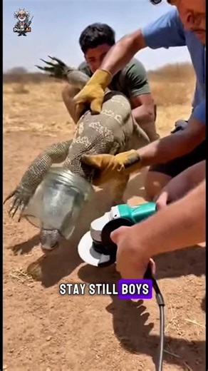 😱🐊 Monitor Lizard Stuck in Glass Jar — Villagers Rush to Rescue! #WildBattle #OMGScene