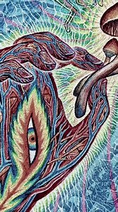 1.4K views · 78 reactions | “The secrets of spirituality are not only...