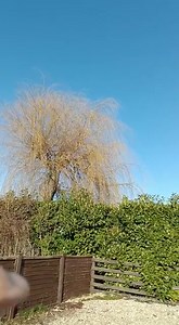 Curiosity. Reasons to stop and wonder | Timmy Mallett