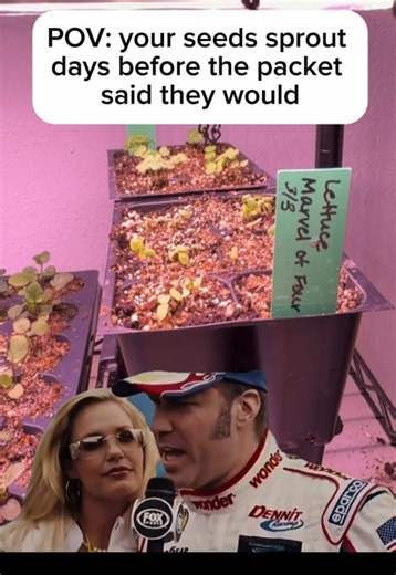 When your seeds sprout days earlier than the packet says and you immediately think you’ve mastered gardening 🌱😎 Be honest… what’s the fastest you’ve had seeds germinate? #gardeninghumor #gardening #seedstarting #springgarden #gardentok