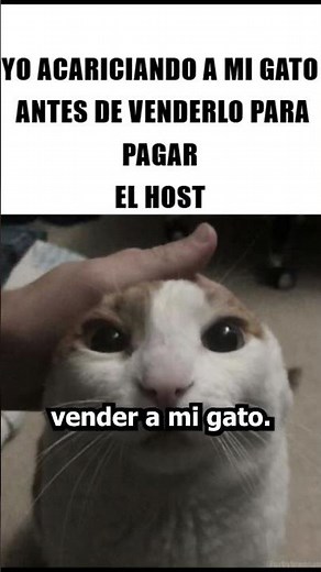 Como hacer un server local de Minecraft en tu PC 🔥