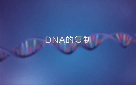 DNA的复制（详细讲解）