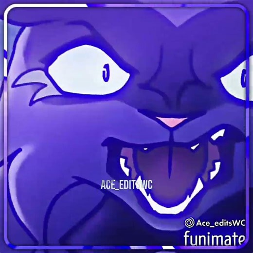 Hollyleaf || #edits #warriorcats