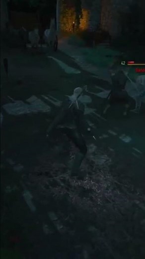 Witcher 3 next Gen - Aard forgotten wolf build #witcher #gaming