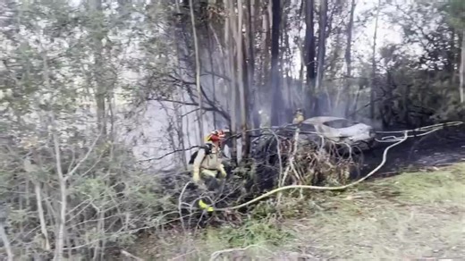 Flaming Car Wreck Scorches Eucalyptus Trees in California
