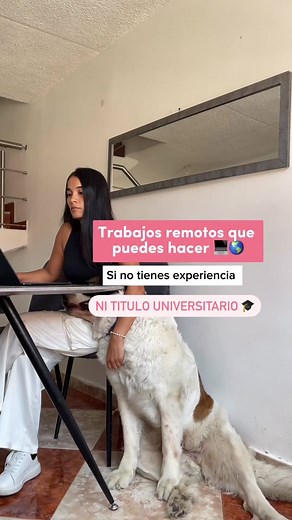 Oportunidades Laborales Remotas Sin Experiencia