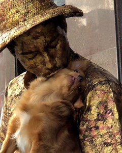 7.5M views · 225K reactions | He stayed perfectly still too 凉 | UNILAD | Facebook