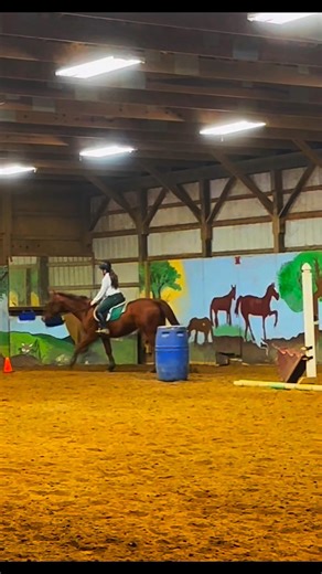 Not my fav lesson but still good! #fypシ #horse #equestrian