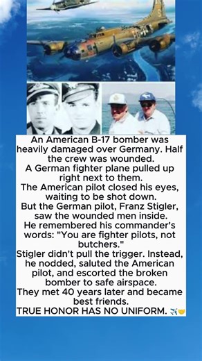 THE GERMAN FIGHTER PILOT REFUSED TO SHOOT! ✈️🛑