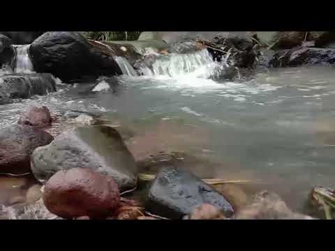 Trickling Water Guaranteed to Help You Sleep, Relax or Study