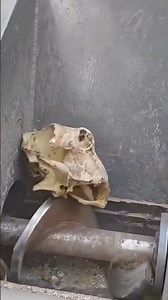 Industrial wood-grinding machine creating consistent fine powder through precision milling #woodwork