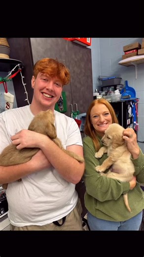 Dougherty Dozen on Instagram: "🎉Monday Mini Vlog🎉 *With Alex At @lollypopfarm Alex and I visited one of our local animal shelters and fell in love with all the dogs. We really want to help get them a family for Christmas so we’ve paid for the next 5 adult dog adoptions. Who wants a dog?!? Thank you @lollypopfarm for spending time with us and letting us play there! *NotSponsored #DoughertyDozen #AlexTheGreat #LollyPopFarm #AnimalShelter #Christmas MerryChristmas HappyHolidays"