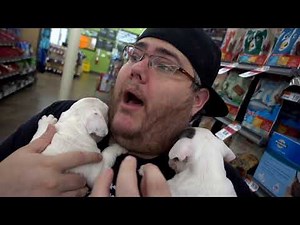 NEW PUPPIES!