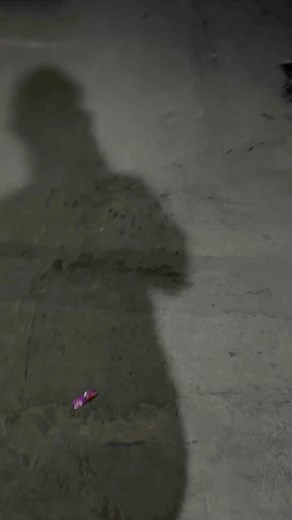 PANG INMAX | The don g show