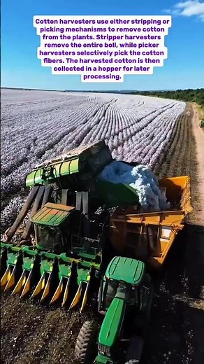 Cotton Harvesting: Modern Machines in Action!