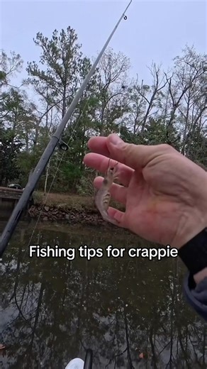 Effective Fishing Tips for Crappie Success