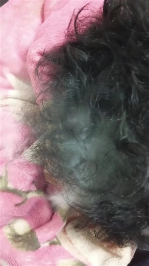 #မီးခိုတွေထွက်လွန်းနေရော😅😅😅 @IG K @Joanna @chitkoko1610