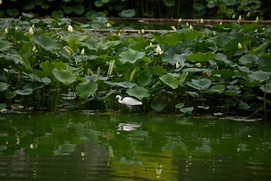 Famous Biodiversity Hotspots