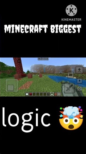 minecraft biggest logic🤯