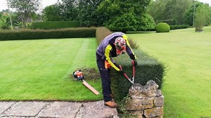 Incredible Hedge Recovery – Trimming an Overgrown Formal Hedge to Perfection!