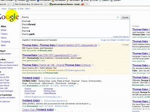 WP Video Tutorial - Wordpress Theme installieren