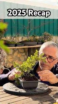Starting Bonsai in 2025 🌱 A Year of Small Trees & Big Lessons