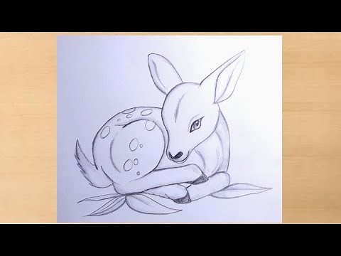 Female Deer pencildrawing/deer drawing step by step