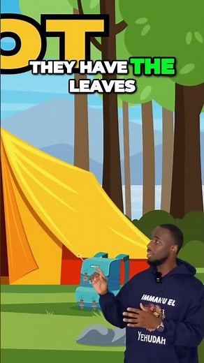 Unveiling the Wonders of Sukkot Embrace the Festive Spirit