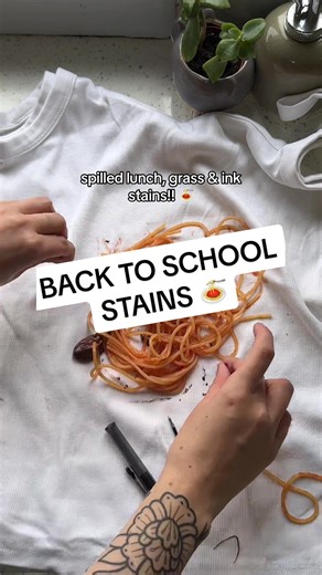 smol_revolution on TikTok