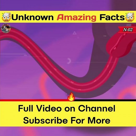 Flamingo Blood Feeding | #shorts #youtubeshorts #facts #factsinhindi #amazingfacts