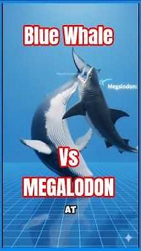 Blue Whale vs Megalodon: The REAL Size Difference! #dinosaurfacts #megalodon #bluewhales