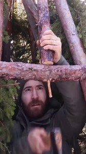 3.9M views · 63K reactions | Canadian Couple FINISH the Interior of Their Secluded Tiny Log Cabin Built Without Power Tools! | Top Ten Viral | Facebook