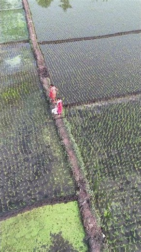 drone camera vs village women react #funny