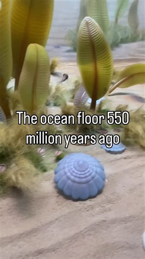 BrennanThePaleoDude on Instagram: "Ediacaran fauna existed during the Ediacaran Period, which spanned from approximately 635 million to 539-542 million years ago. These were the first known large, complex, soft-bodied multicellular organisms, which appeared after the Snowball Earth events and lived exclusively in the sea, forming diverse ecosystems before vanishing at the cusp of the Cambrian period. . . . . . #paleontologist #paleontologia #paleontology #paleontologists #paleontología #fossils 