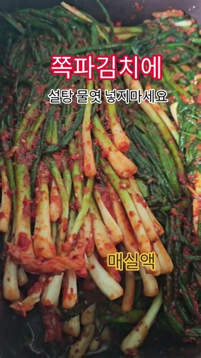 #쪽파김치에 설탕 물엿 #건강 #음식 #맛집 #집밥 #채소