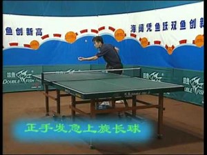 Excellent World Champions Teach You How To Play Table Tennis (16DVDs)