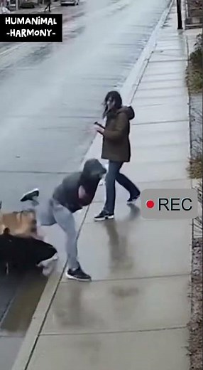 👊 Dog vs Robber: Security Camera Catches the Best Rescue Ever 🐶📹 #cctv