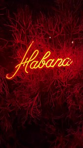 Monday date nights help the week go by faster, especially when they're at Habana. Share the love with delicious cocktails, Cuban-inspired entrees, and mouthwatering desserts. Visit www.restauranthabana.com/reservations to make your reservation.⁠ ⁠ (Reel: @jas_thefoodie) | Habana