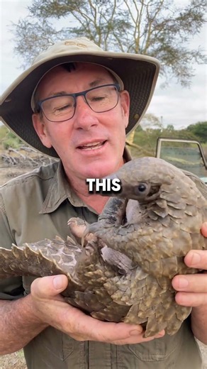 What Is the Most Dangerous Animal on Earth? 😳