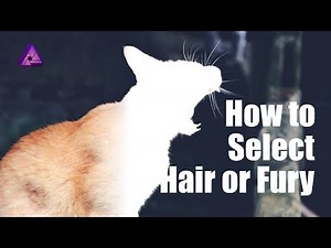 Affinity Photo Tutorial #03 | How to select hair or fury (Select brush tool and Refine selection)