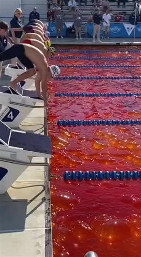 Exploring a Deep Jelly Pool Adventure