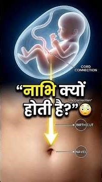 What is the real function of the belly button? 😨 #sciencefacts #body #shorts #pregnancyfacts #fac...