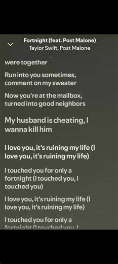 Fortnight by Taylor Swift, Post Malone — Song With Lyrics