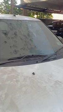 Basic Car Wash | Foam Wash | Maruti Swift | Kerala Trivandrum