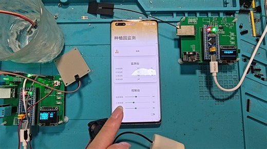 T12.1.福建金煌芒种植园监测-Lora WiFi-基于STM32嵌入式物联网单片机软硬件毕业生系统设计