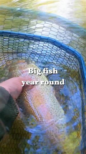 Big fish are waiting to be caught! Pa Keystone Select Trout waters