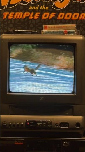 Exhibit A: The Squirrel (2003) Classic Geico Commercial with Squirrels