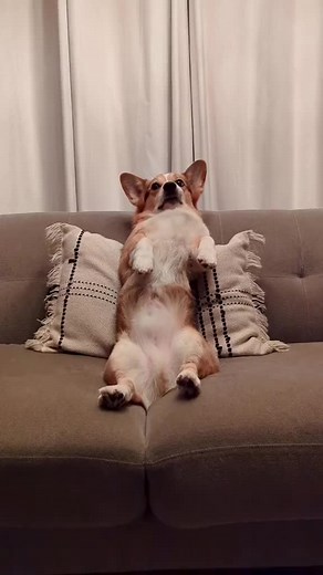 Nations Photo Lab on TikTok